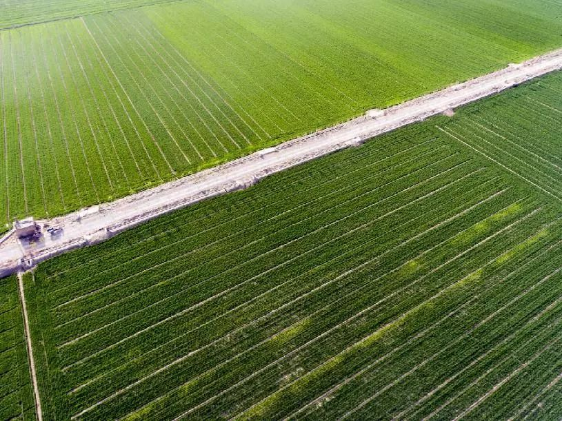 图片16.png 图片16.png