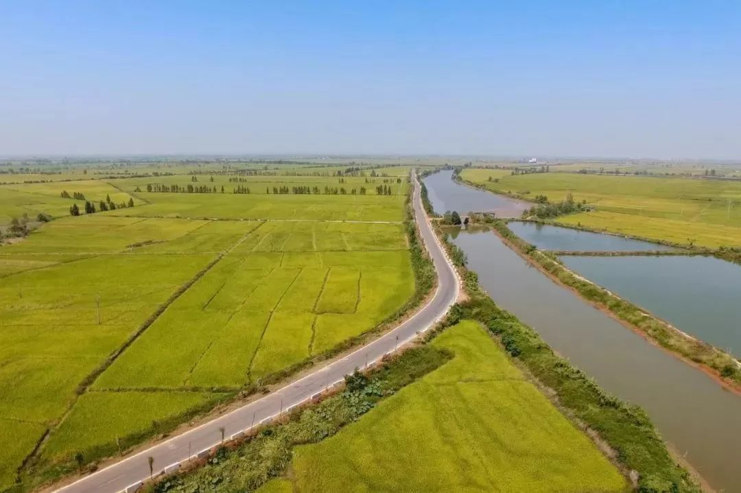 图片15.png 图片15.png